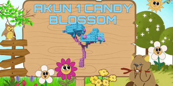 Gambar Product ACCOUNT 1 CANDY BLOSSOM