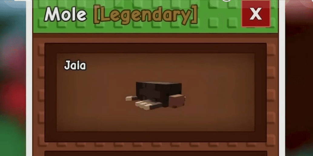 Product Showcase
