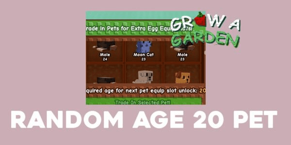 Gambar Product Random Pets age 20+
