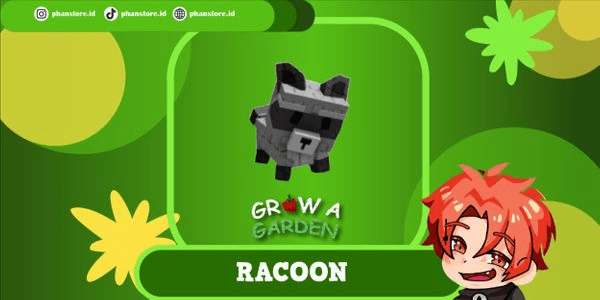 Gambar Product Raccoon