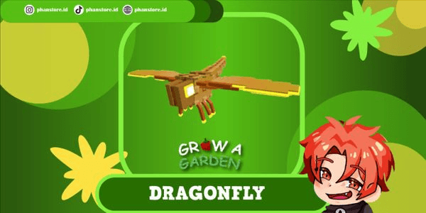 Gambar Product Dragon Fly