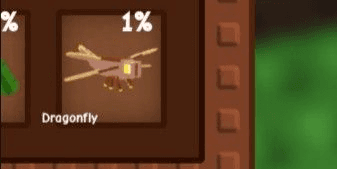 Gambar Product Dragonfly Pets