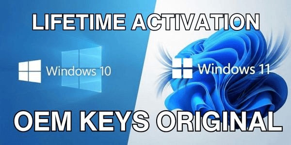 Gambar Product Windows 10 Professional