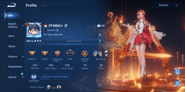 Gambar Product HIGH RANK LUCKY ACCOUNT & SULTAN SKIN