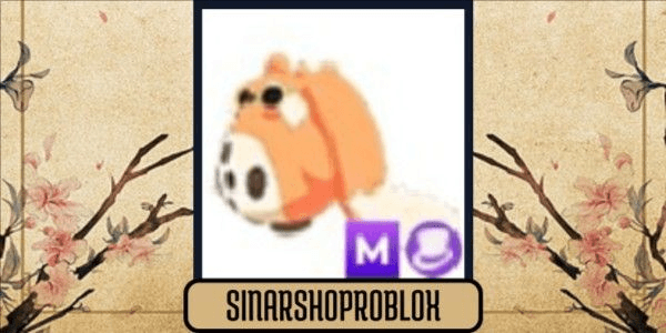 Gambar Product Mega Cabbit - M Cabbit