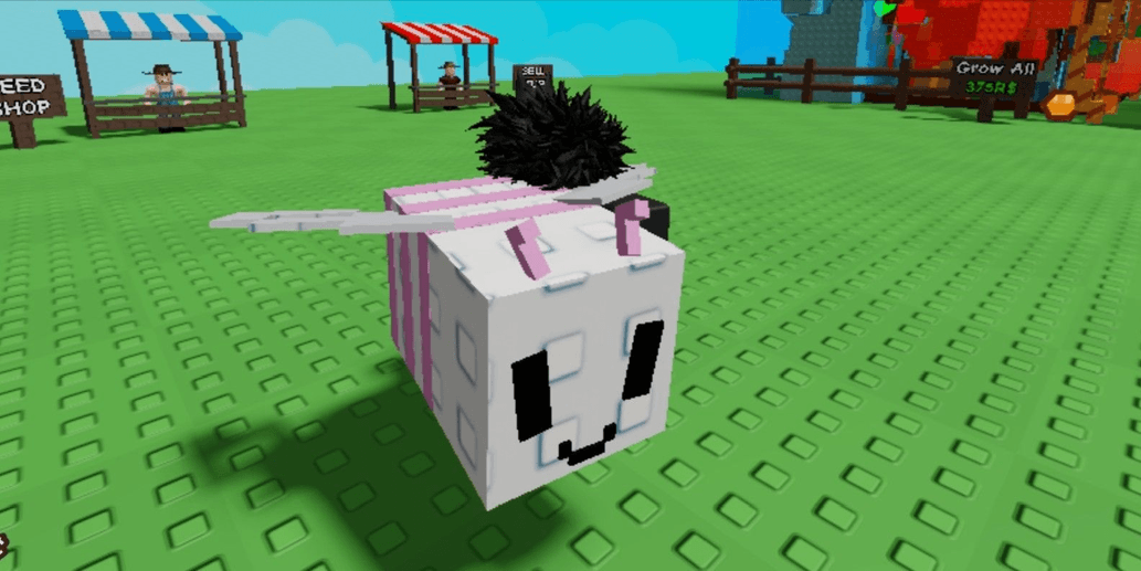 Product Showcase