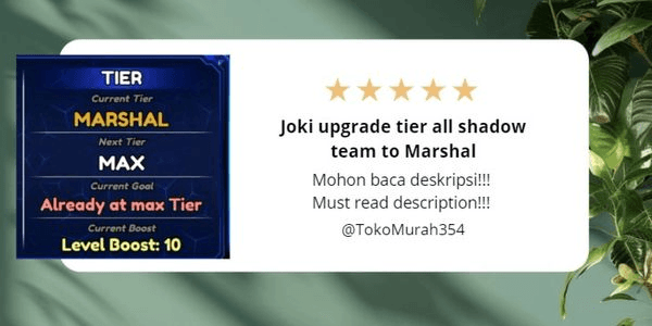 Gambar Product "Joki upgrade team tier all shadow team to Marshal"