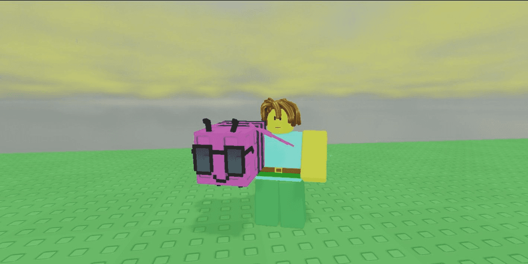 Product Showcase