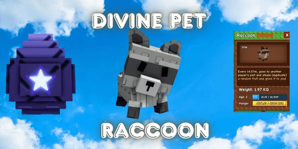 Gambar Product Raccoon | Grow A Garden