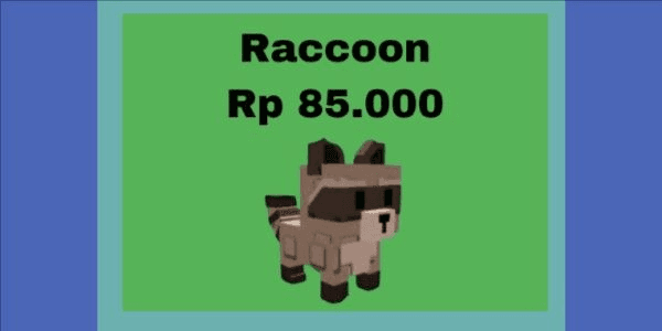 Gambar Product Pet raccoon - Grow a garden