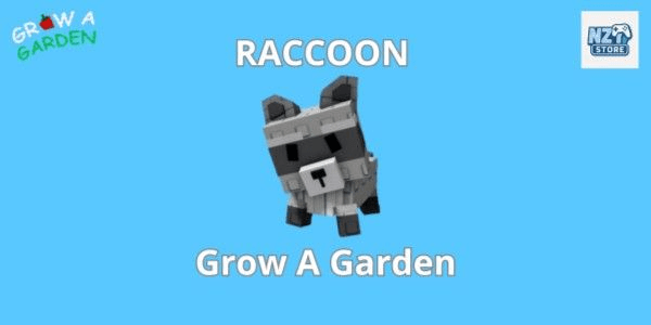 Gambar Product Raccoon