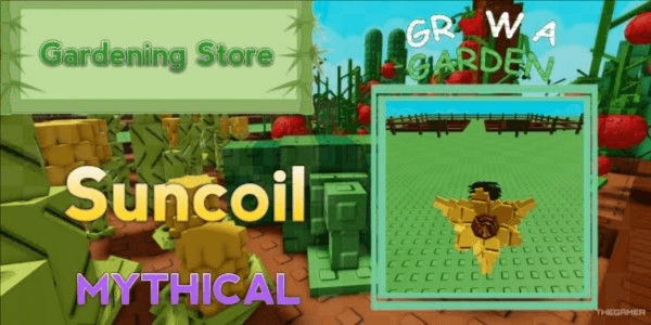 product-image-0