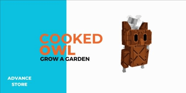 Gambar Product Cooked Owl - Pet (LIMITED)