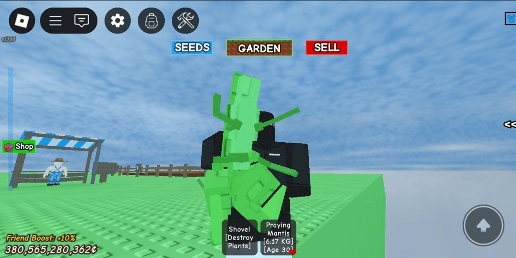 Product Showcase