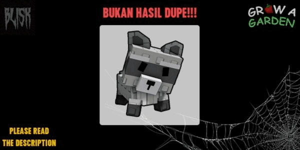 Gambar Product Raccoon (Grow A Garden)