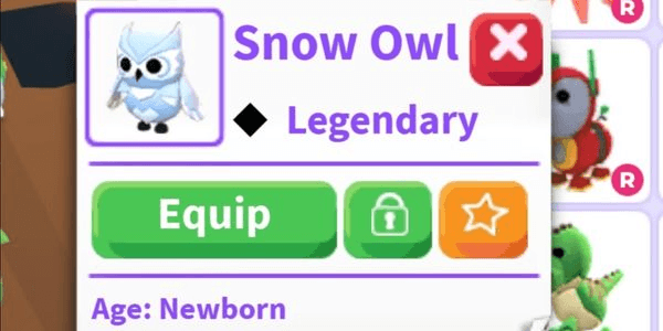 Gambar Product Snow Owl