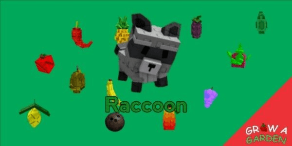 Gambar Product Raccoon - Grow A Garden