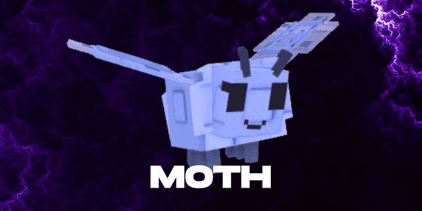 Gambar Product "Moth Pets - via gift trade"