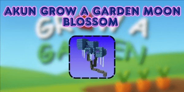 Gambar Product MOON BLOSSOM ACCOUNT