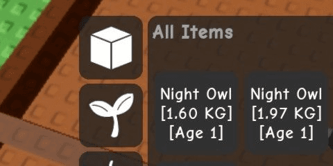 Gambar Product Night Owl