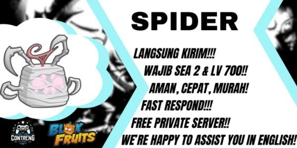 Gambar Product Spider