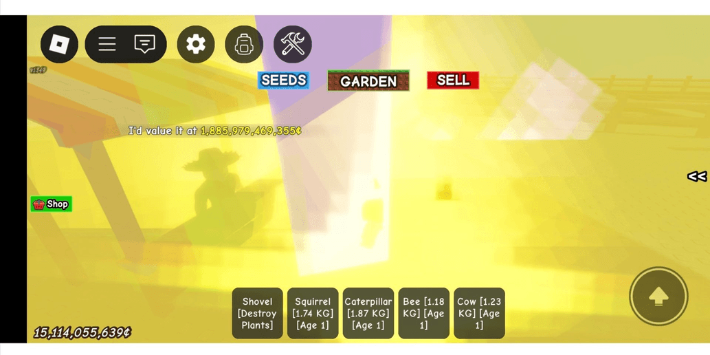 Product Showcase
