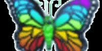 Gambar Product Prismatic Butterfly N Neon