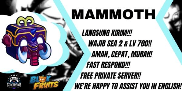 Gambar Product Mammoth