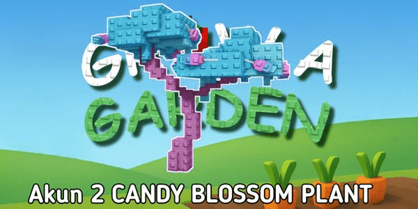 Gambar Product Account 2 Candy Blossom sped up in description - Grow A Garden RBL