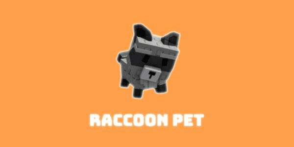 Gambar Product Raccoon Murah