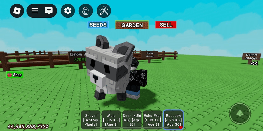 Product Showcase
