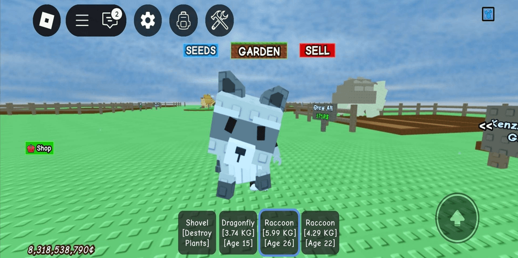 Product Showcase