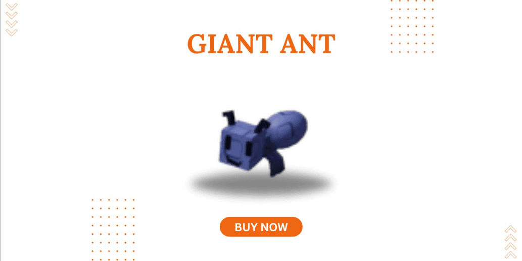 product-image-0