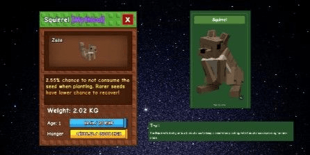 Gambar Product Squirrel