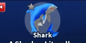 Shark