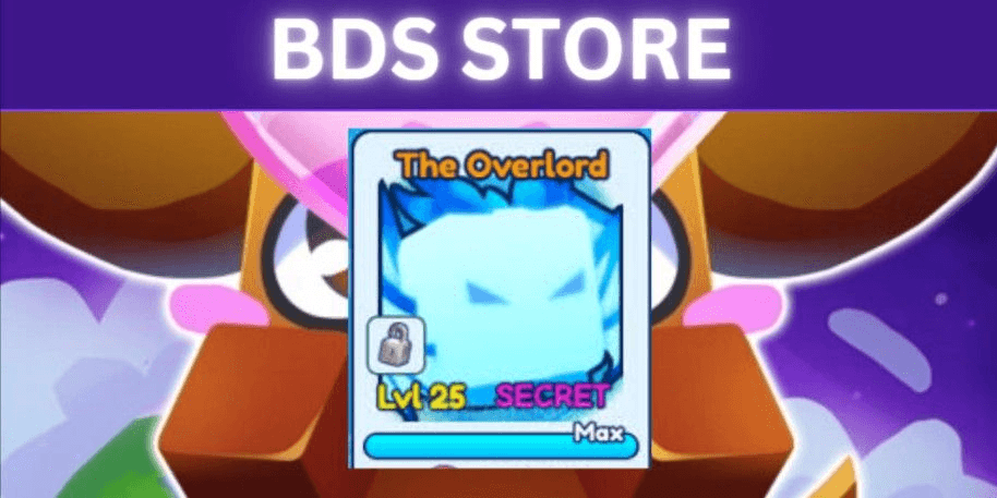 Product Showcase