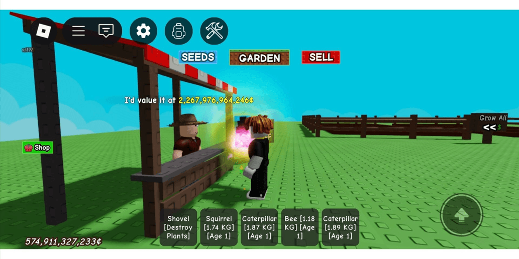 Product Showcase
