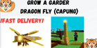 product-image-0
