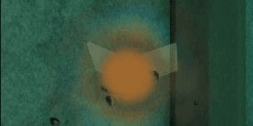 product-image-0