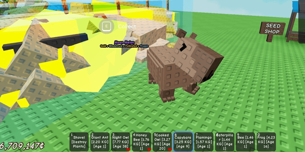 Product Showcase