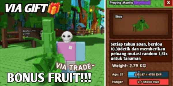 Gambar Product Praying Mantis