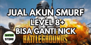 Fresh Smurf Account PUBG CHEAP LVL 8 READY FOR RANKED!!