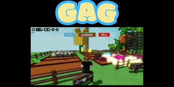 Gambar Product Account 12 T and good plants