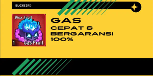 Gas
