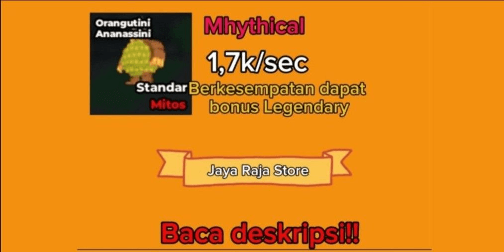 Product Showcase