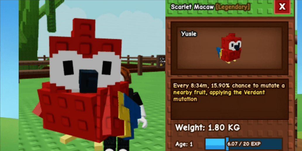Product Showcase