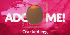 Cracked eggs