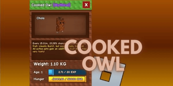 Gambar Product pet cooked owl (grow a garden)