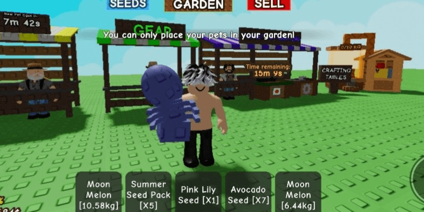 Product Showcase