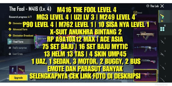 Gambar Product M416 THE FOOL LV 4 | X-SUIT ANUKHRA STAR 2 | 16 LAB WEAPONS | 3 RP MAX | ACE ASIA | 75 OUTFIT SETS
